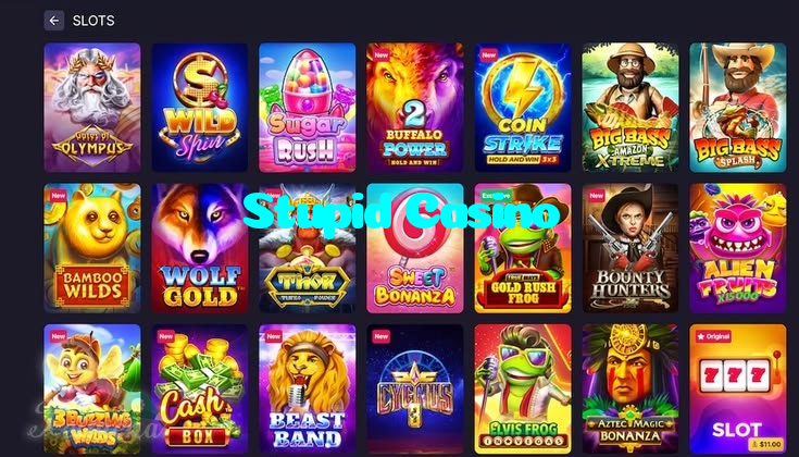 available types of Stupid Casino bet including pre-match live express and system bets